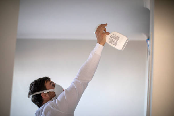 Office Mold Removal Services in Lake Dalecarlia, IN